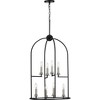 Progress Lighting Seneca 8-Light Foyer Pendant, Steel, Black Finish, Open-Cage Design, Candelabra Lights, Canopy Included - 2 of 4