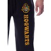 Intimo Harry Potter Mens' Hogwarts All Houses Sleep Jogger Pajama Pants (Ravenclaw, M) Black - image 3 of 4