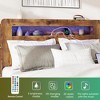 TiramisuBest Queen Size Wood Platform Bed Frame w/ Storage, LED Headboard, 2 USB, Dark Brown, No Box Spring - 4 of 4
