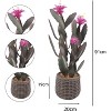 Artificial Prickly Pear Cactus in Plastic Pot, Lifelike Potted  Ear Cactus for Balcony, Living Room, Kitchen, Office, Patio, Entranceway - 2 of 4