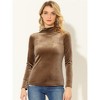 Allegra K Women's Solid Turtleneck Velvet Long Sleeve Work Basic Velour Blouse - 2 of 4