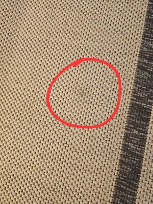 Guest review image 2 of 2, zoom in