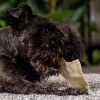 Pet Factory Made in USA Beefhide - 8oz - 4 of 4