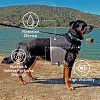 ZippyPaws Adventure Dog Lifejacket, Swimming Vest for Dogs & Puppies, Life Jacket for Swim Training Small Medium & Large Dogs - Teal, Small - 4 of 4