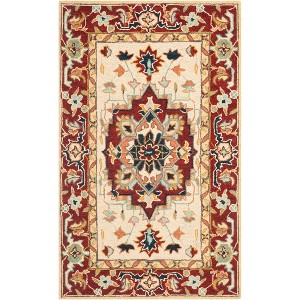 Chelsea HK709 Handmade Rug - Safavieh - 1 of 3