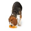 Cool Pup Cooling Popsicle Dog Chew Toy, Orange, Large - image 3 of 4