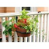 Flower Plant Pot Wall Mount Ring,Miuline Flower Pot Holder Ring