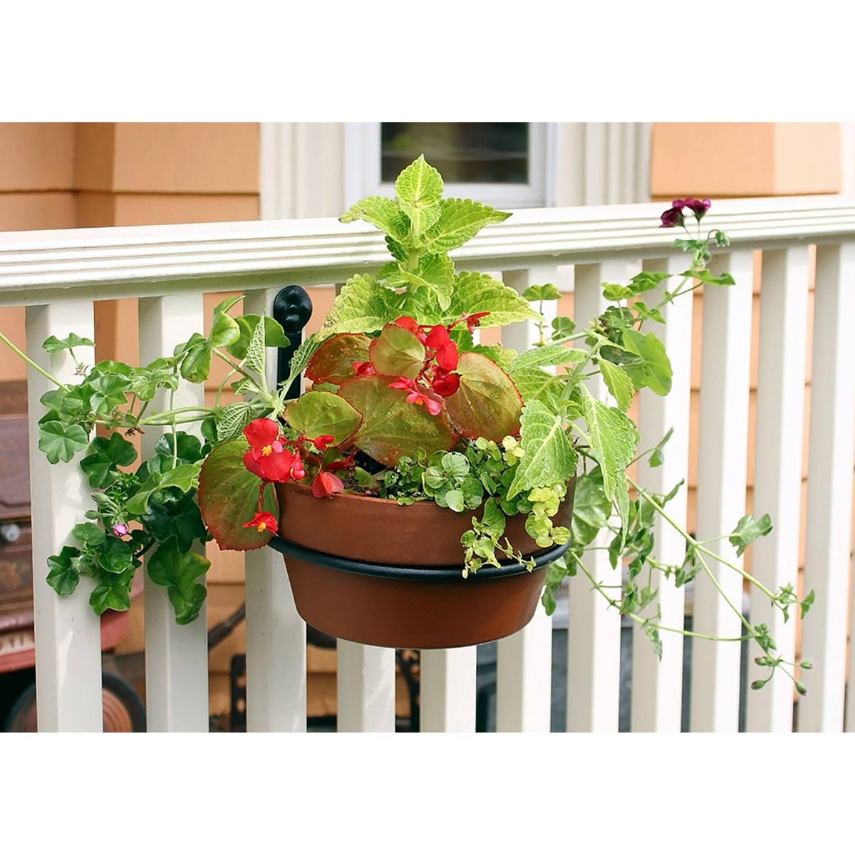Set of 2 8" Wall Mounted Flower Pot Holder Ring Brackets Black Powder Coat - ACHLA Designs - thumbnail 4