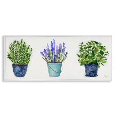 Stupell Industries Varied Potted Plants & Herbs, 24" x 10"