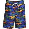 Lands' End Lands' End Kids Print Swim Trunks - 3 of 4