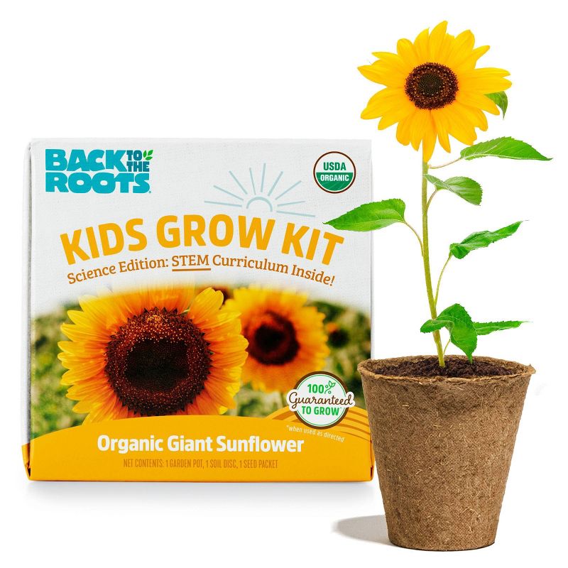 Back to the Roots Kids Grow Kit Science Edition Organic Giant Sunflower, 1 of 12