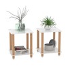 NicBex Modern Square Tempered Glass Coffee Table with Storage Shelf,Side Table with Wooden Legs,End Table for Living Room - 3 of 4