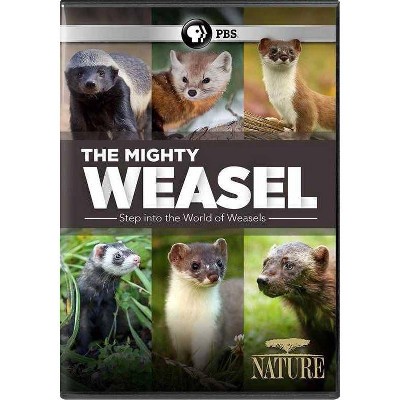 Nature: Mighty Weasel (DVD)(2020)