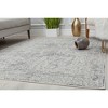 Rugs America Astor Transitional Abstract Area Rug - 3 of 4