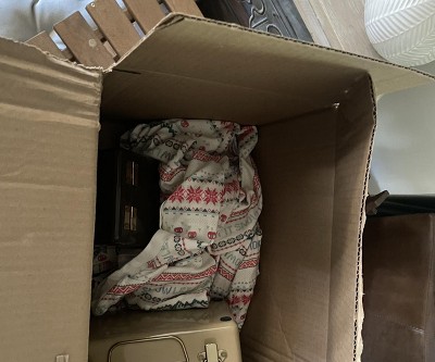 Guest review image 4 of 5, zoom in