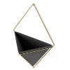 Trigg Wall Display Planter - Umbra - 3 of 4
