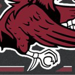 south carolina gamecocks