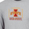 NCAA Iowa State Cyclones Men's Gray Long Sleeve T-Shirt - 3 of 3