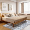 Washable Vintaged Rug Non Slip Low Pile Rug Soft Retro Throw Floor Cover Foldable Indoor Carpet for Living Room Bedroom Playroom Nursery - 3 of 4