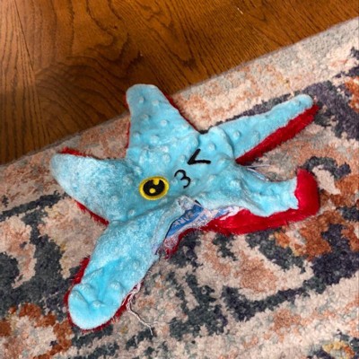 Bark Super Chewer Blue Rad Herring Fish Dog Toy : Target