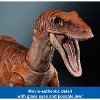 Jurassic World Hammond Collection Atrociraptor Tiger Dinosaur Action Figure, 13 Points Articulation - 4 of 4