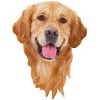 Madd Capp: I Am Golden - 550 Piece Puzzle - Dog Shaped Animal Jigsaw, 24 x 32" - 2 of 4