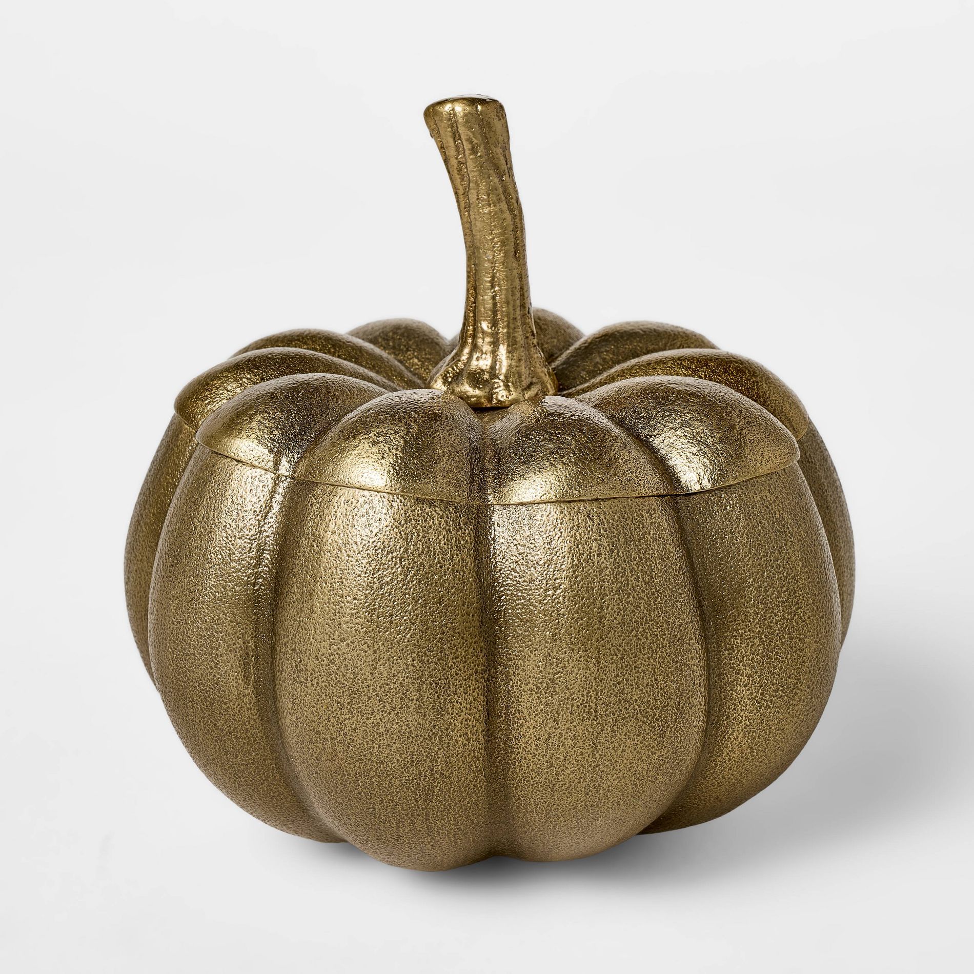 Cast Metal Pumpkin Canister - Threshold™ designed with Studio McGee