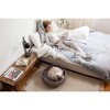 Keter by Curver Knit Cozy Resin Plastic Pet Bed with Cushion, Small Dogs to Medium Cats, Sandy Beige - 3 of 4