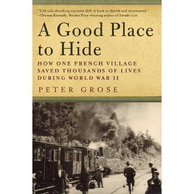 A Good Place to Hide - by  Peter Grose (Paperback)