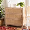 Elsbeth Wood and Natural Rattan 3 Drawer Storage Cabinet Oak Brown/Natural Brown - Baxton Studio - 4 of 4