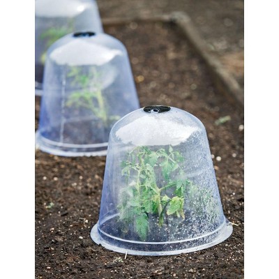 Clear PVC Garden Cloche Set with Steel Stakes