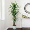 Wikineon Artificial Dracaena Tree 6ft-Tall Fake Plant with Black Planter-Faux Plants Indoor Tall Housewarming Gift,Tropical Yucca Silk Tree. - 2 of 4