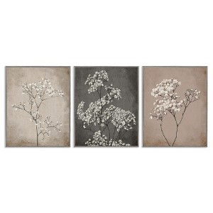 Stupell Industries Botanical Baby's Breath Herbs, 24" x 30" - 1 of 4