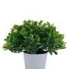 Unique Bargains Artificial Plants Mini Gypsophila Plastic 2.36"x2.36"x5.12" 1 Pc - 4 of 4