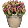 Classic Home and Garden Indoor/Outdoor Round Corinthian Resin Flower Pot Planter - 2 of 4