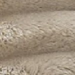 01 - beige