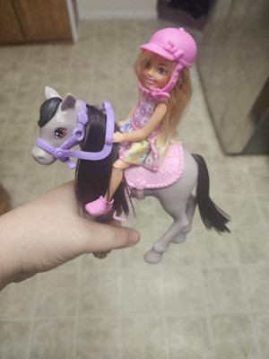 Genuine Barbie Club Chelsea Dolls and Ponies Playset