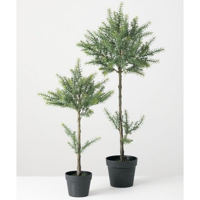 Sullivans Artificial  Set of 2 Potted Rosemary 43"H & 32"H Green