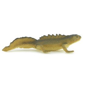Water Dragon, Sailfin Lizard, Rubber Reptile, Hand Painted, Educational, Realistic, Model, Toys, Kids, Gift,   2 Inches.    WR48 B197 - 1 of 4