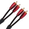 AudioQuest Golden Gate RCA to RCA Analog Interconnect Cable - 0.6 meters - 2 of 4
