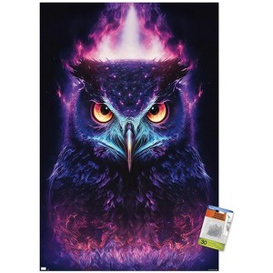 Trends International Wumples - Mystic Owl Unframed Wall Poster Prints - 1 of 4
