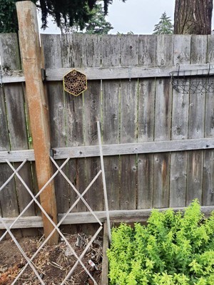 Guest review image 1 of 2, zoom in