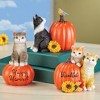 Collections Etc Hand-Painted Harvest Pumpkin Cat Sitters - Set of 3 - 2 of 2