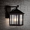Ranzi Outdoor Wall Lantern - PLT4009 - Clear/Black - Safavieh - 3 of 4