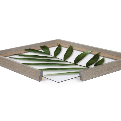 Gray Polystyrene Framed Botanical Print 16" x 20"