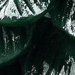 green&white-christmas tree