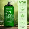Majestic Pure Tea Tree Body Wash - Soothes and Moisturizes Irritated Skin - 16 Fl Oz - 2 of 4