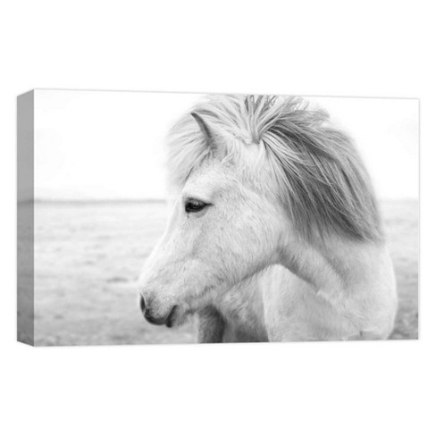 White Horse Decorative Canvas Wall Art 11 X14 Ptm Images Target
