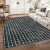 Modern Checkered Area Rug Farmhouse Geometric Print Rugs for Living Room Bedroom Low Pile Non-Slip Rug - 2 of 4