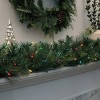 200ct LED Philips Heavy Duty Incandescent Indoor/Outdoor Miniature String Lights with Green Wire - 2 of 4